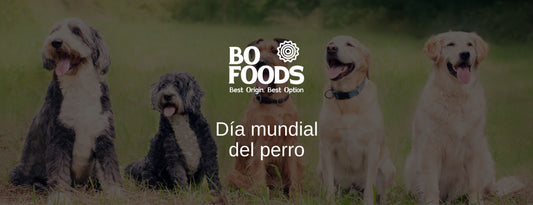 Mascotas: perrihijos y gathijos.